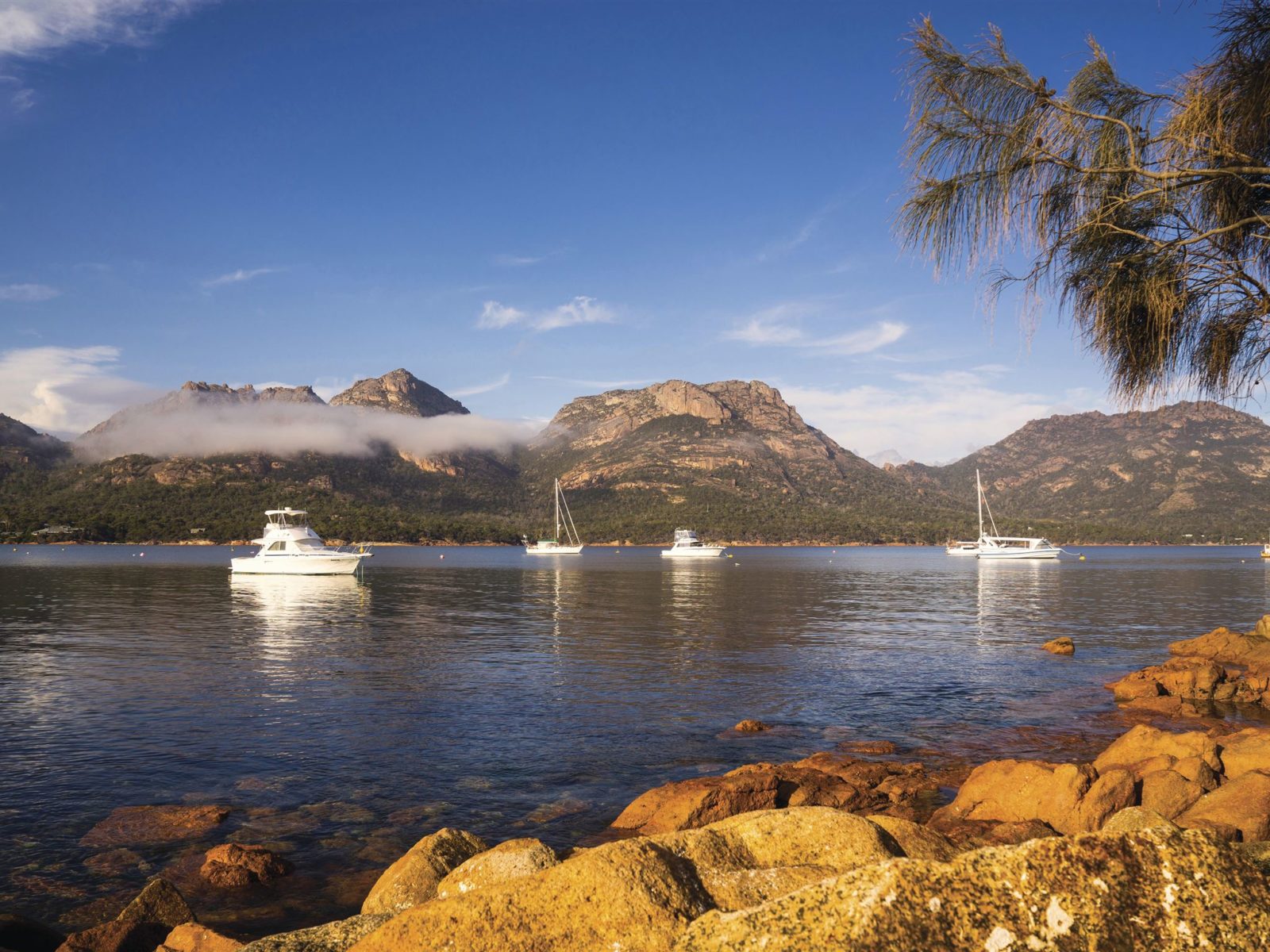 Freycinet and the East Coast Region Tasmania Australia s Guide