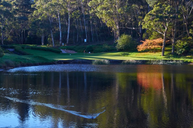 Blackheath Golf and Community Club Attraction Tour Blackheath New