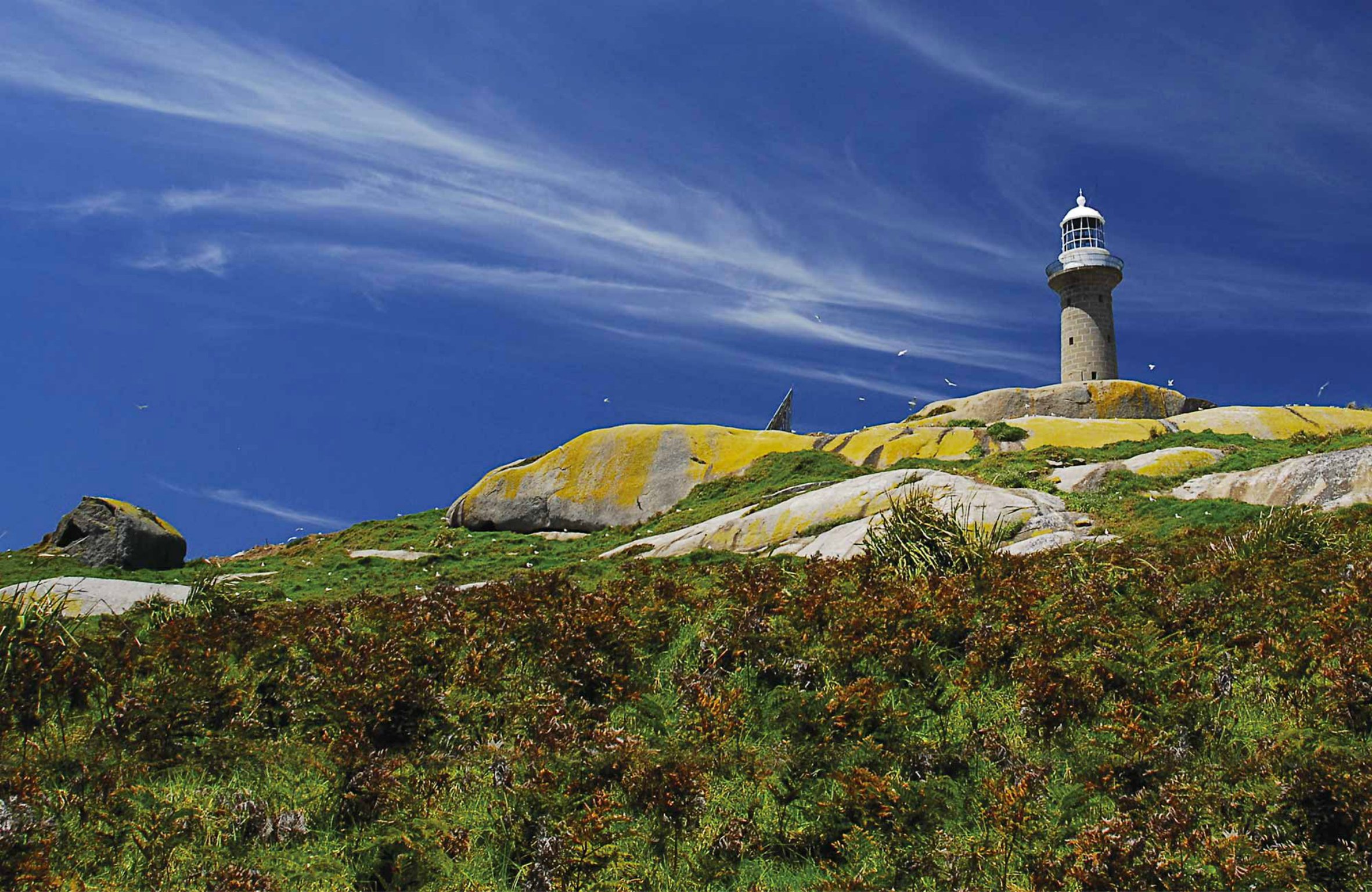 montague island lighthouse tour