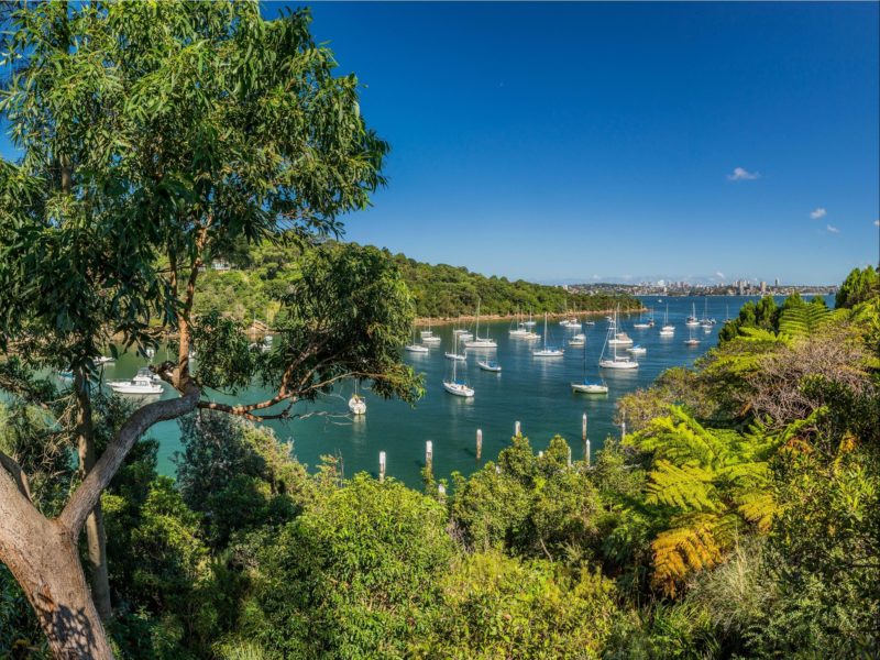 Mosman New South Wales Australia s Guide