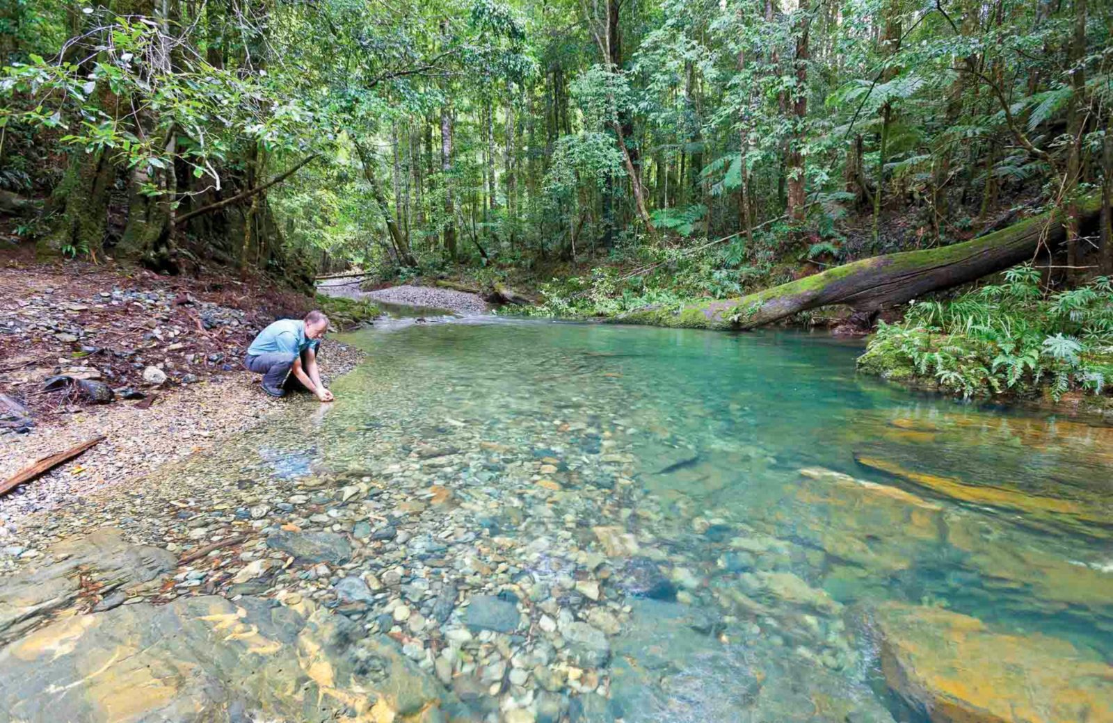 Rosewood Creek Walking Track | Attraction Tour | Never Never | New