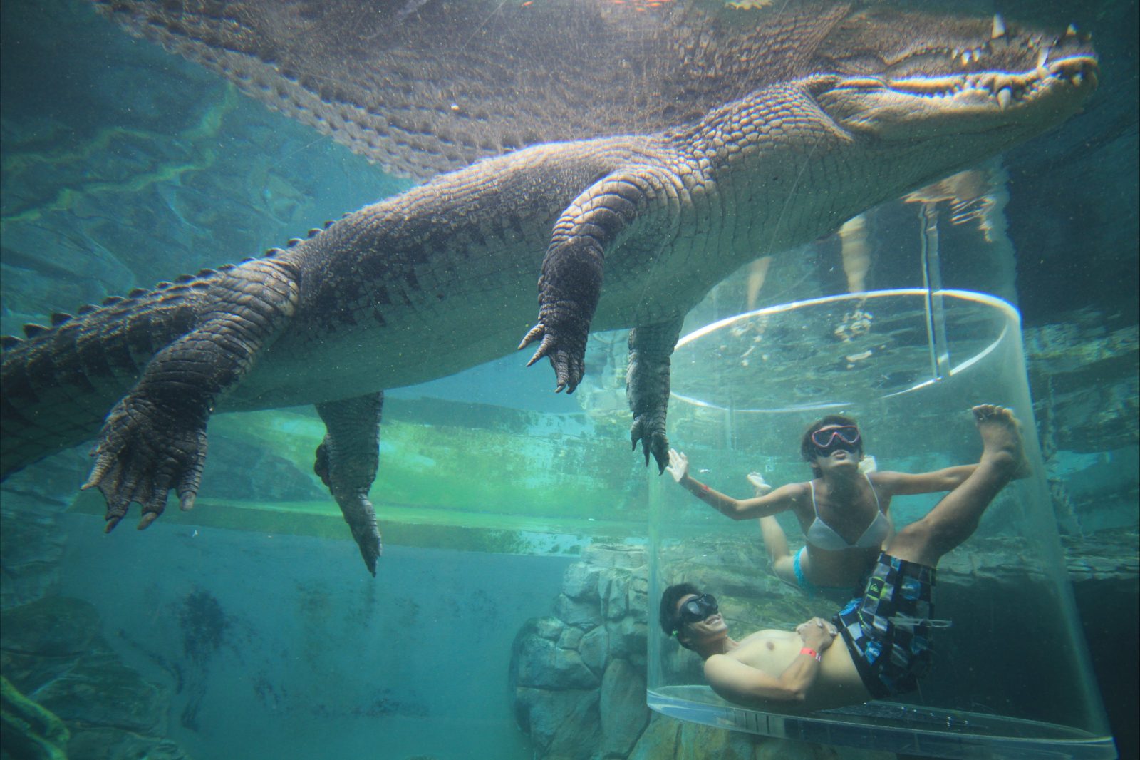 best crocodile tours darwin