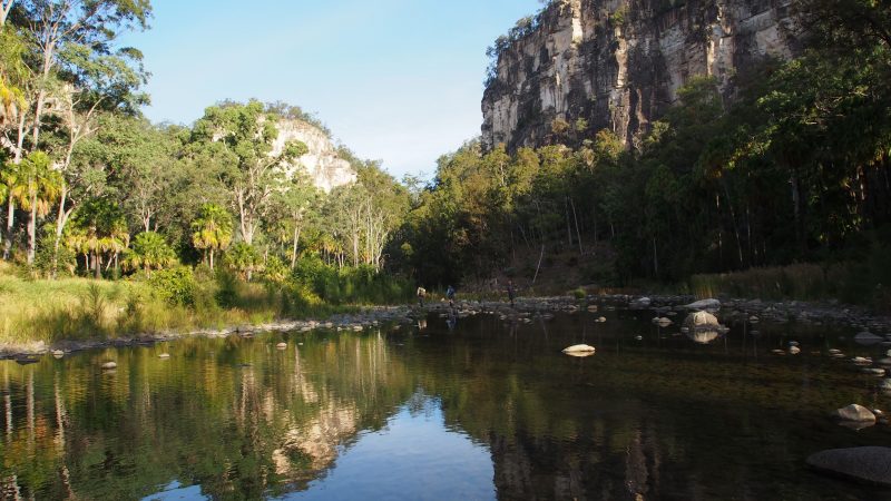 Auswalk Walking Holidays | Attraction Tour | Burleigh Waters