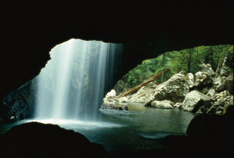 Natural Bridge, Springbrook National Park Attraction Tour