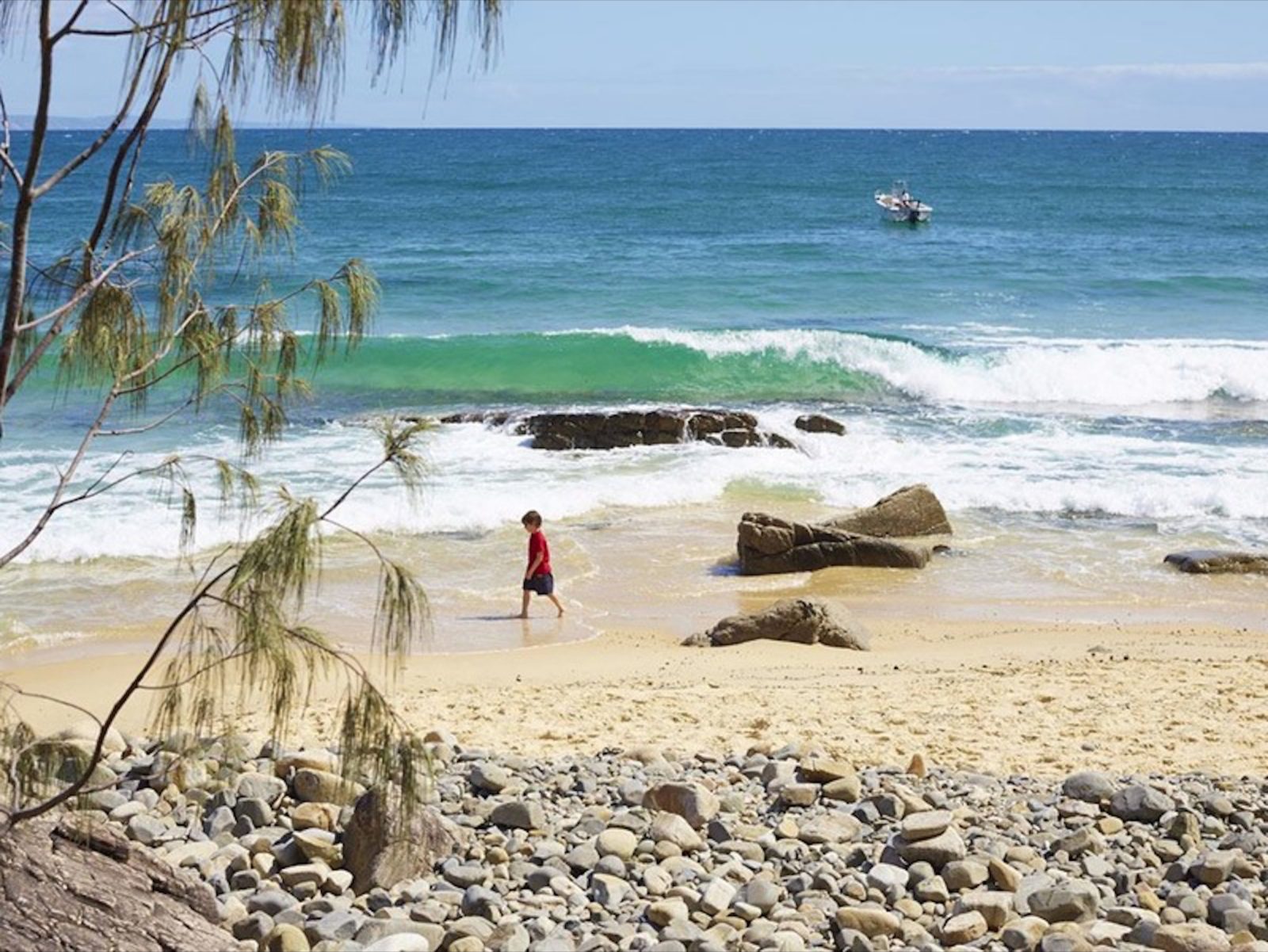 Noosa Area Queensland Australias Guide