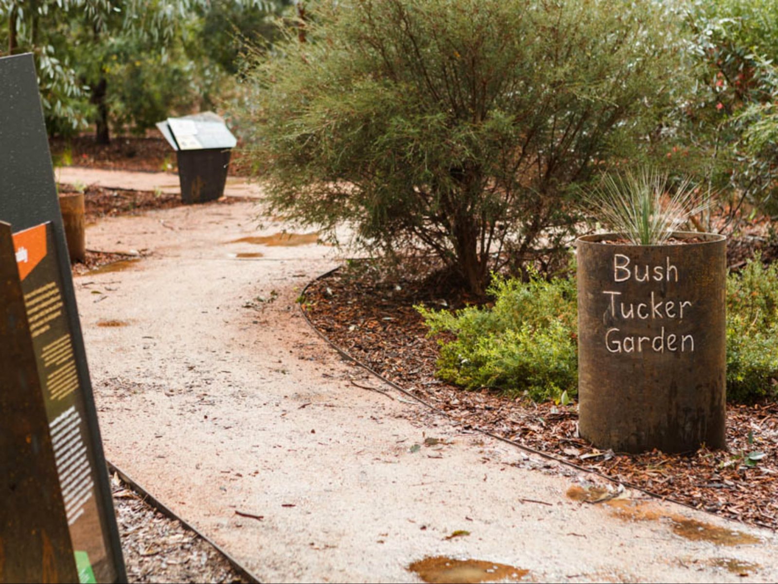 bush tucker tour botanical gardens