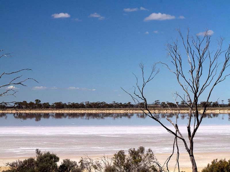 Lake Grace | Western Australia - Australia's Guide