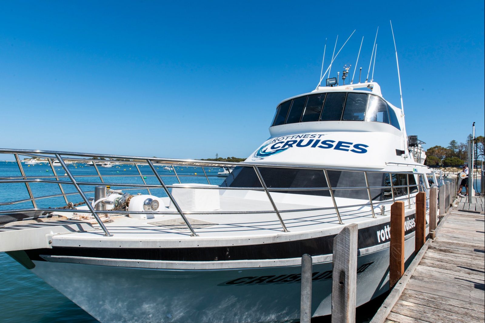 rottnest island cruise tour