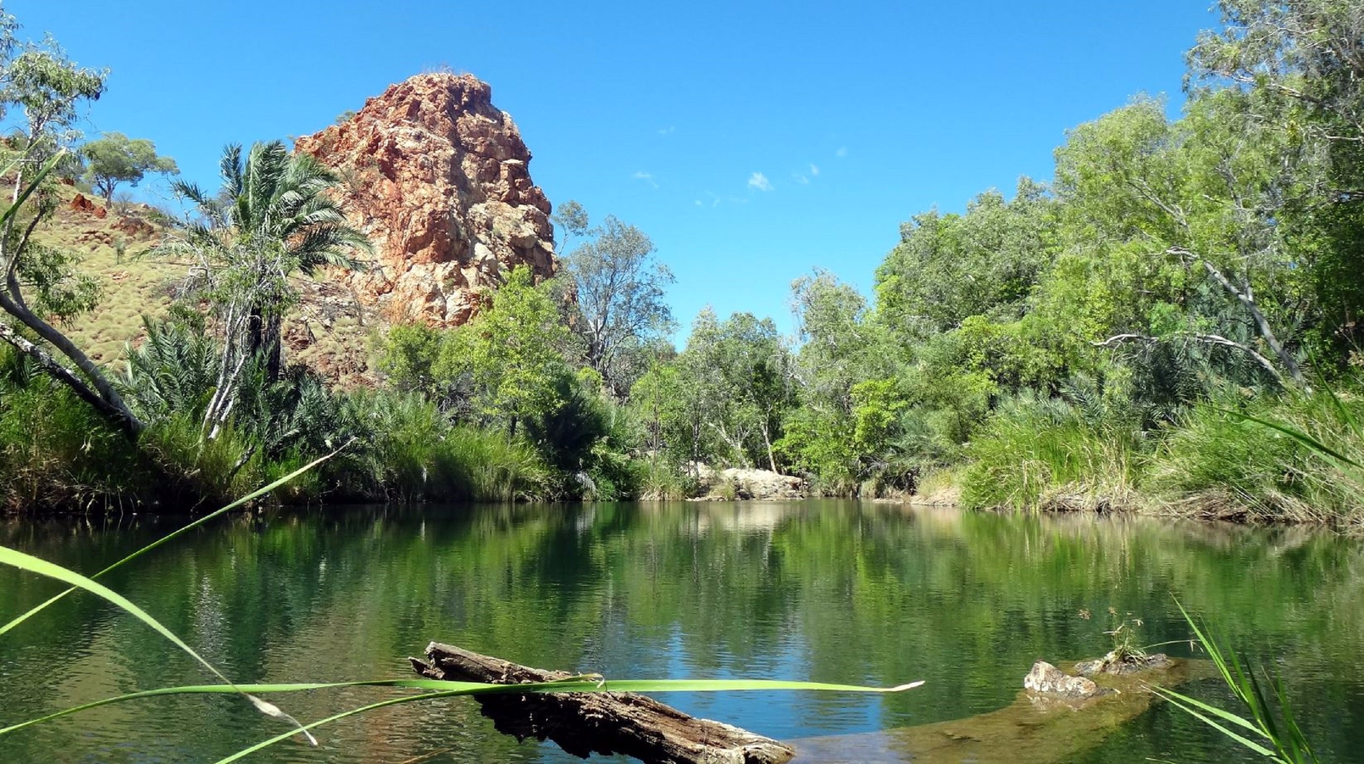 sawpit-gorge-attraction-tour-halls-creek-western-australia