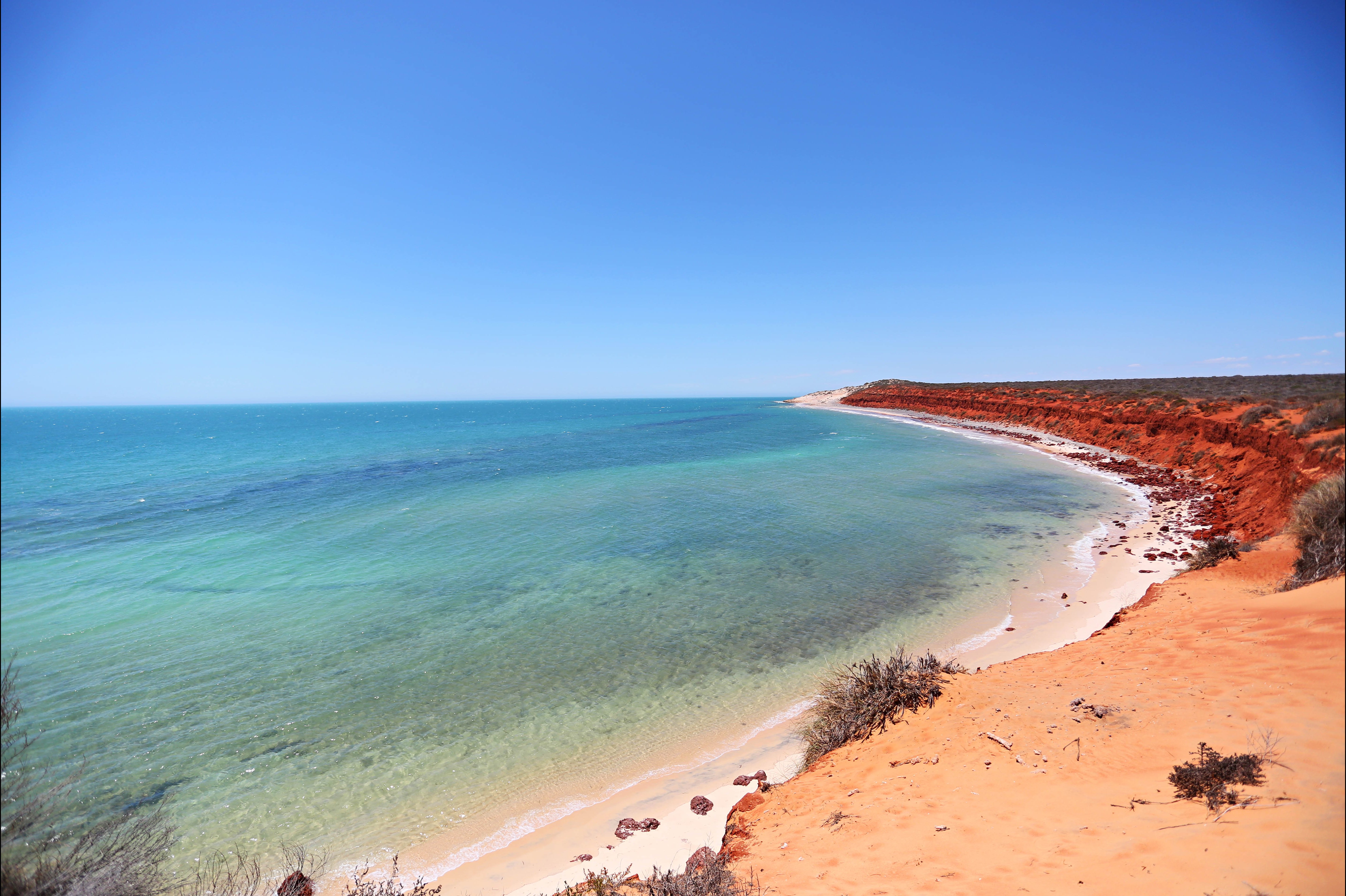 Shark Bay Coastal Tours | Attraction Tour | Denham | Western Australia