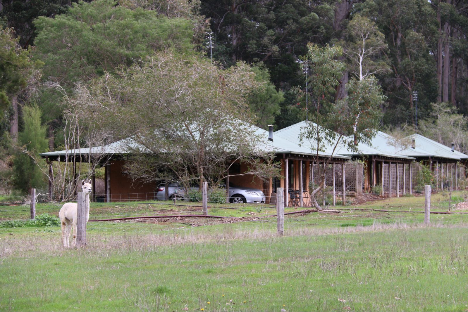 Treenbrook Cottages Pemberton Western Australia