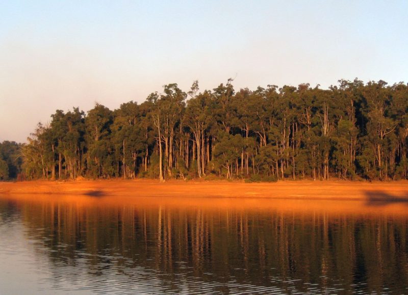 Waroona Dam Attraction Tour Waroona Western Australia Australia